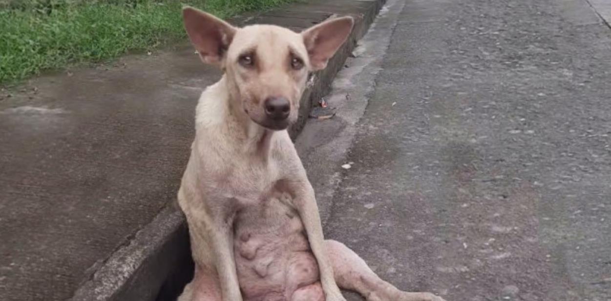 Paralyzed and Heartbroken, Sinead's Wait for Help Ended When Someone Finally Heard Her Cry