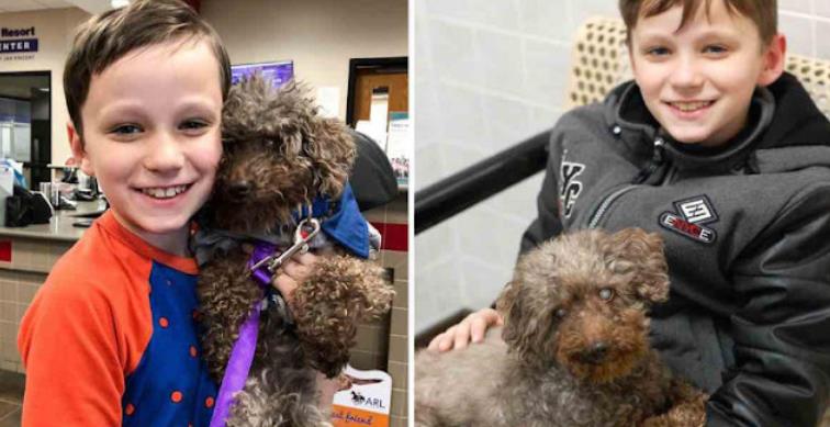 Young Boy's Touching Adoption of Elderly Poodle Shows That Love Has No Age Limits