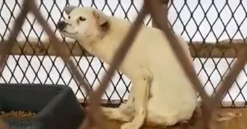 From Struggle to Strength: Harden's Powerful Journey from Shelter to Freedom