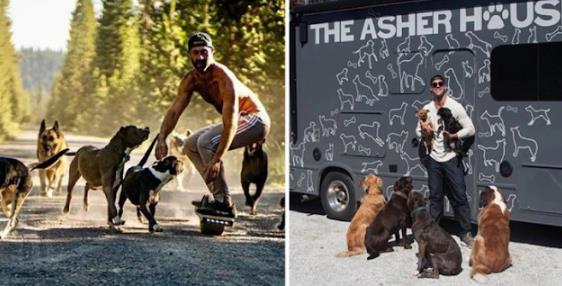 From Shelters to Safety: Lee Asher's Lifelong Mission of Animal Rescue and Compassion
