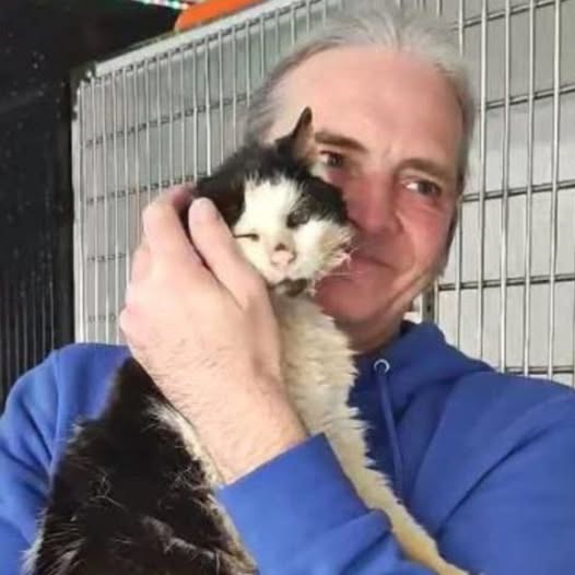 Deaf Elderly Cat Breaks Down in Tears Reuniting With Her Family After 2 Years Apart