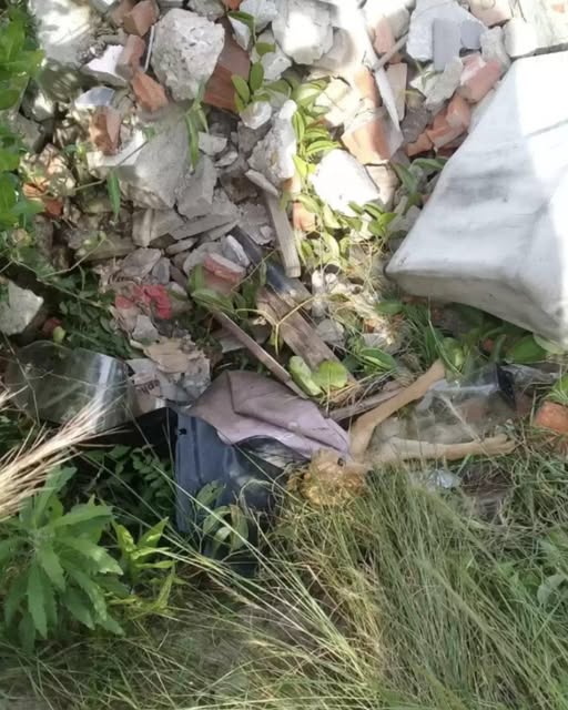 Rescuer Stunned to Discover Animal Legs Sticking Out of Trash Heap